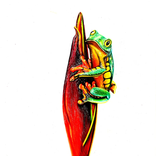 Vibrant Tree Frog Clinging to a Red Petal - Nature-Inspired Original Art