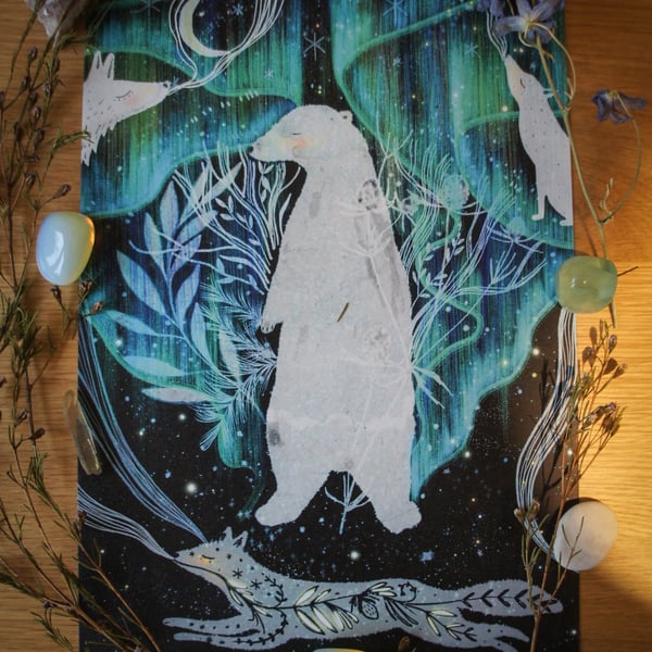 Great Bear Of The North