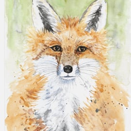 Fox. Original Painting