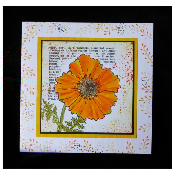 Golden Poppy (GEN406)