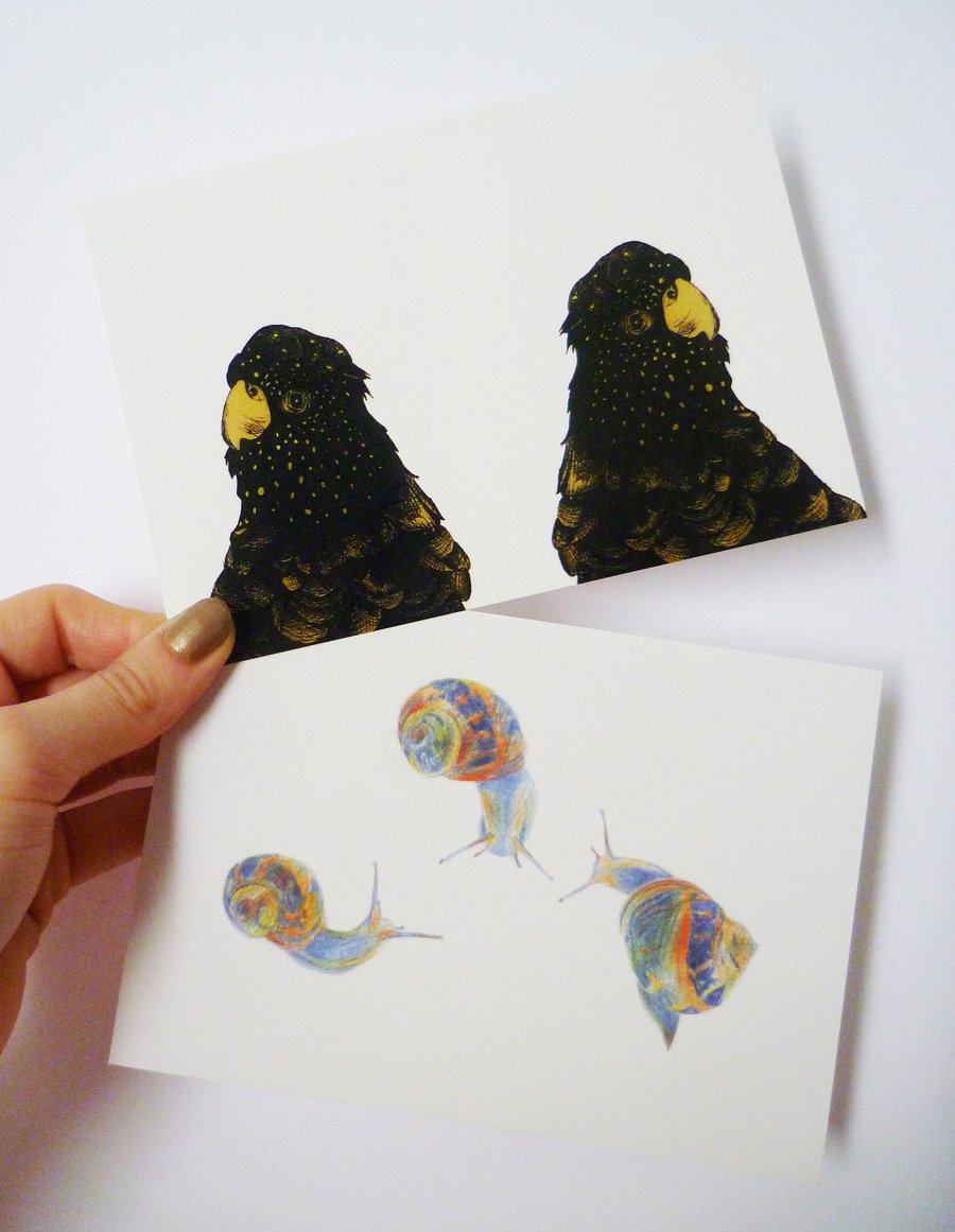 Postcard set - Twin Parrots and Three Snails