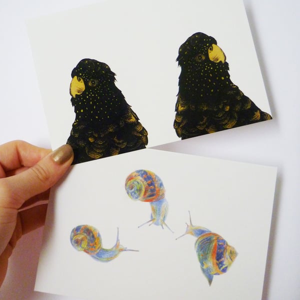 Postcard set - Twin Parrots and Three Snails