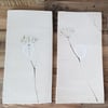 Pair of Natural Cow Parsley Ceramic Wall Art Tiles 