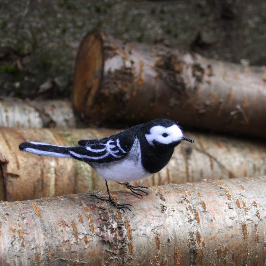 Needle felted pied wagtail sculpture