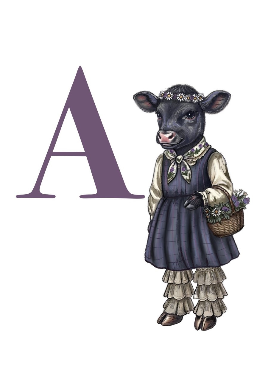 A for Angus Cow