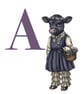 A for Angus Cow