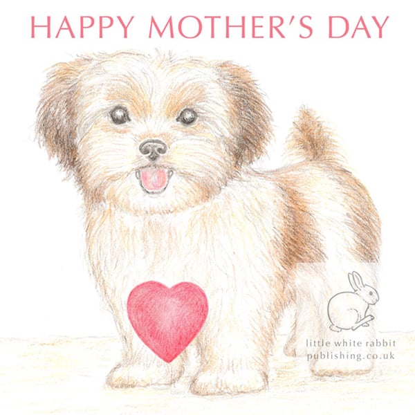 Lizzie the Shih Tzu Cross - Mother's Day Card