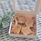 Wax Melt & scoopie gift set