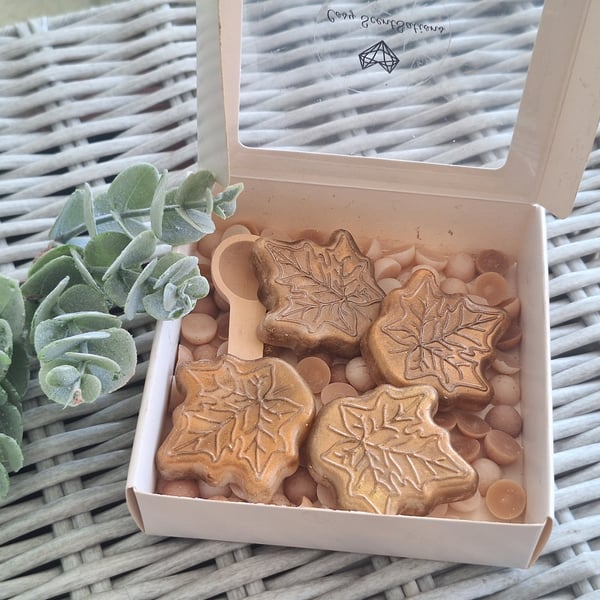 Wax Melt & scoopie gift set