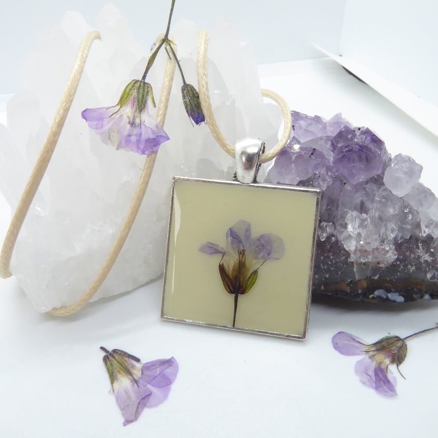 Cream and Purple Wildflower Pendant - Pressed Herb Robert Flower