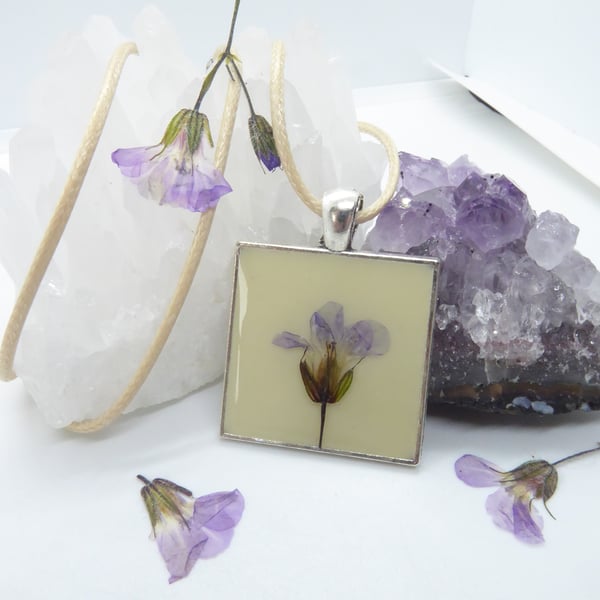 Cream and Purple Wildflower Pendant - Pressed Herb Robert Flower