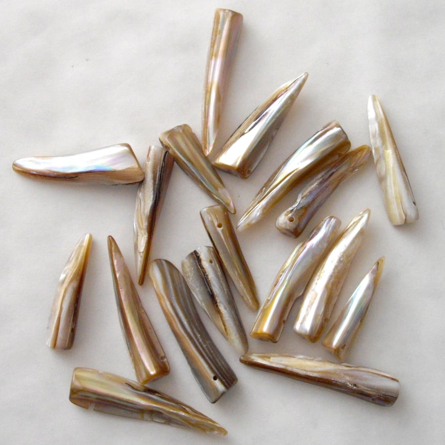 18 x Shell 'Tooth' Beads