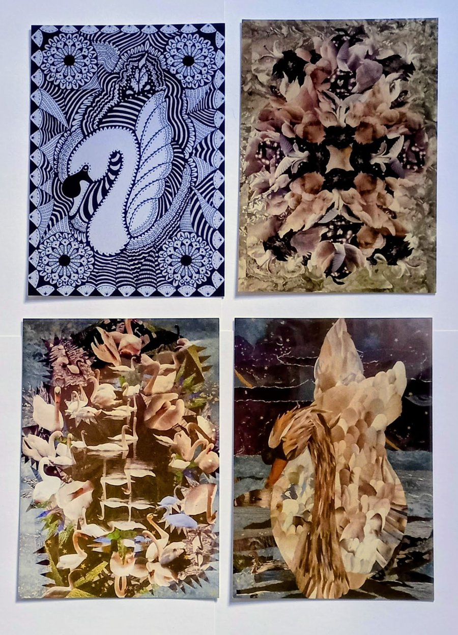Swan Cards - set of 4 