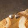 Sterling Silver Hammered Stud Earrings