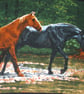 Two Wild horses walking through a stream cushion - Image 2