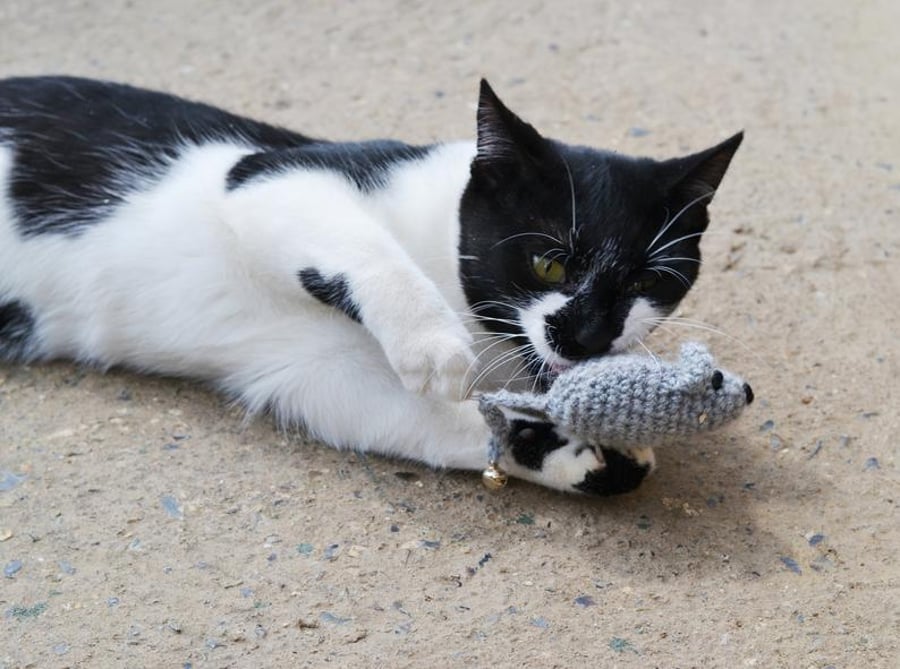 Hand Crochet Mouse Cats Play Toy Catnip or No Catnip
