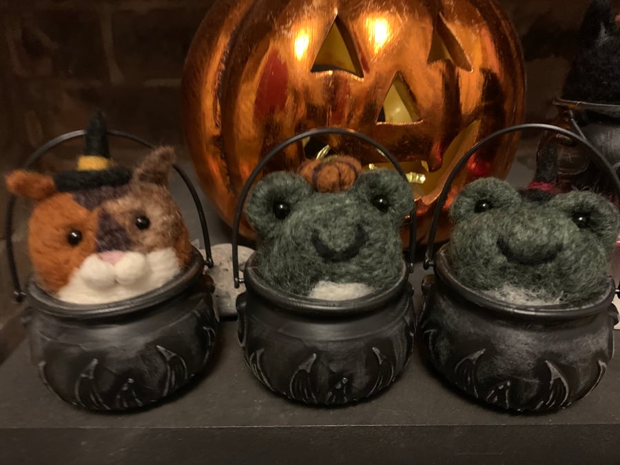 Pumpkin frog familiar 