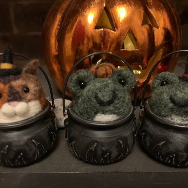 Pumpkin frog familiar 