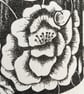 Floral mug original black ink drawing  - Image 3