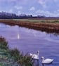 Swans In Moon Light Norfolk Nordelph Greeting Card A5