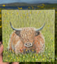 Highland Cow Original Painting - Image 2
