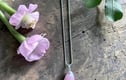 Glass Jewelry