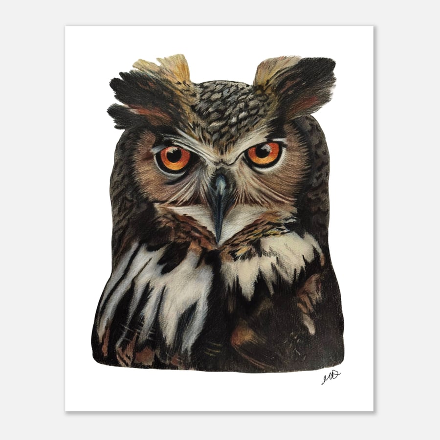 Wise Old Owl Print: Giclée Nature Wall Art - Limited Art Prints - 11x14”