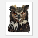 Wise Old Owl Print: Giclée Nature Wall Art - Limited Art Prints - 11x14”