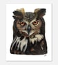 Wise Old Owl Print: Giclée Nature Wall Art - Limited Art Prints - 11x14”