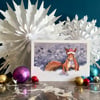 Pack of Four 'Christmas Nuts' greeting cards
