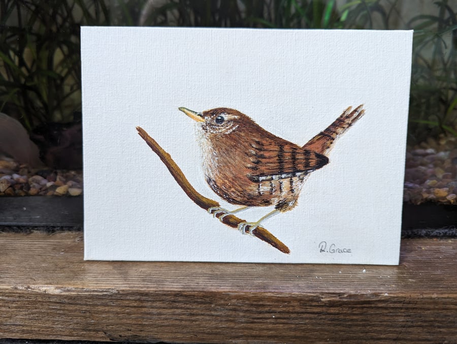 Wren Bird Acrylic Painting 