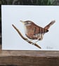 Wren Bird Painting 