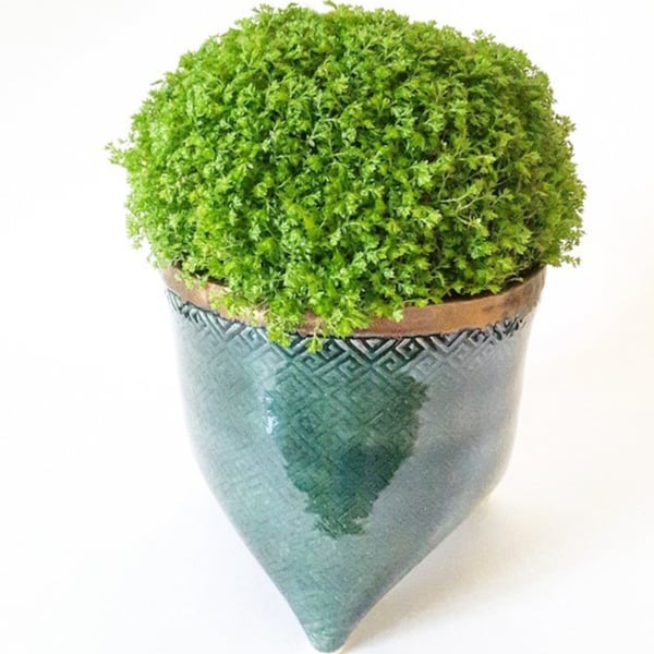 Three legged Plant Pot Holder 