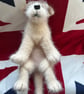 Little cross breed puppy dog - Image 3