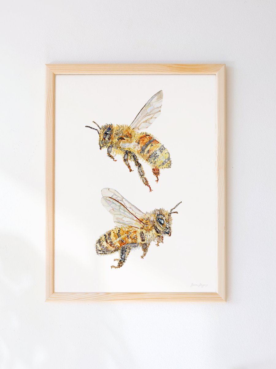 Sweet Honey Bees - Watercolour art printed sustainably