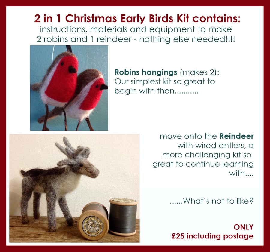 2 in 1 Early Bird Christmas Needle Felt Kit - Robins and Reindeer