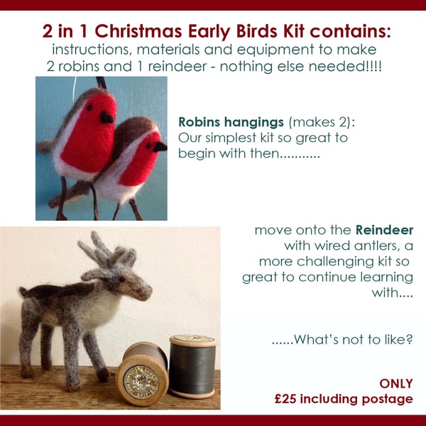 2 in 1 Early Bird Christmas Needle Felt Kit - Robins and Reindeer