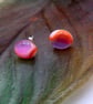 Coral and Pink Fused Glass Stud Earrings and Pendant Set - Image 4
