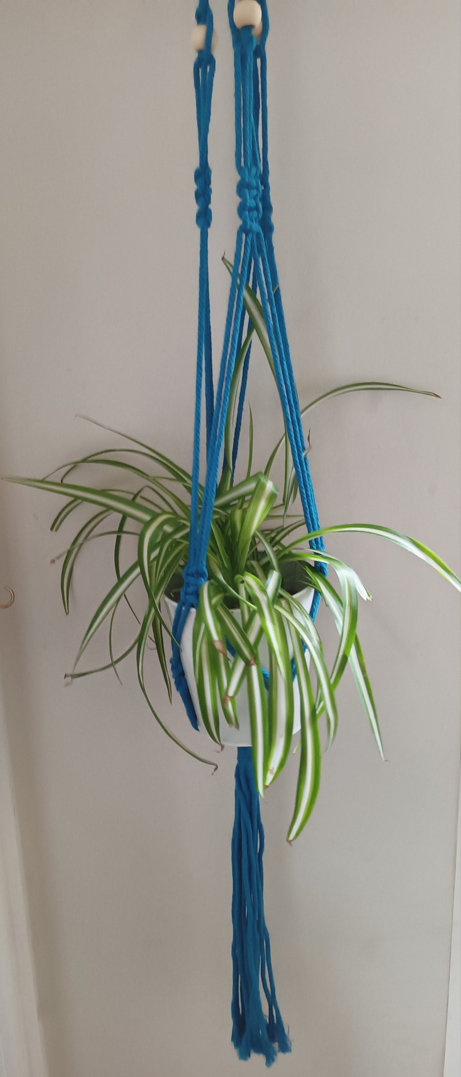 Boho Macramé hanging plant holders 