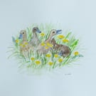'Ducks and Dandelions' A4 original watercolour