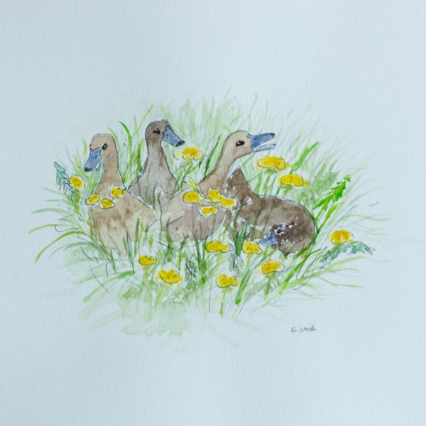'Ducks and Dandelions' A4 original watercolour