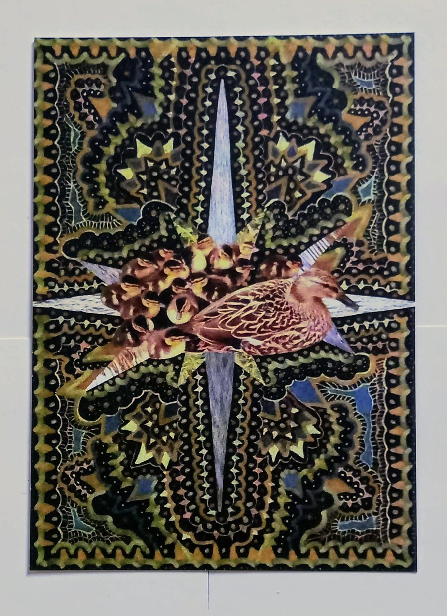 Duck Card 'New Life'  A5 Blank Card