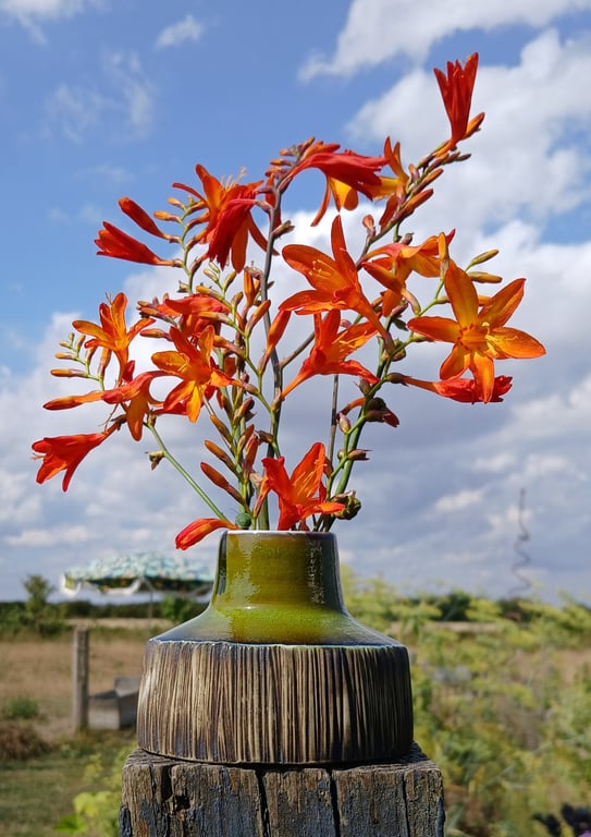 Bud vase