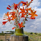 Bud vase