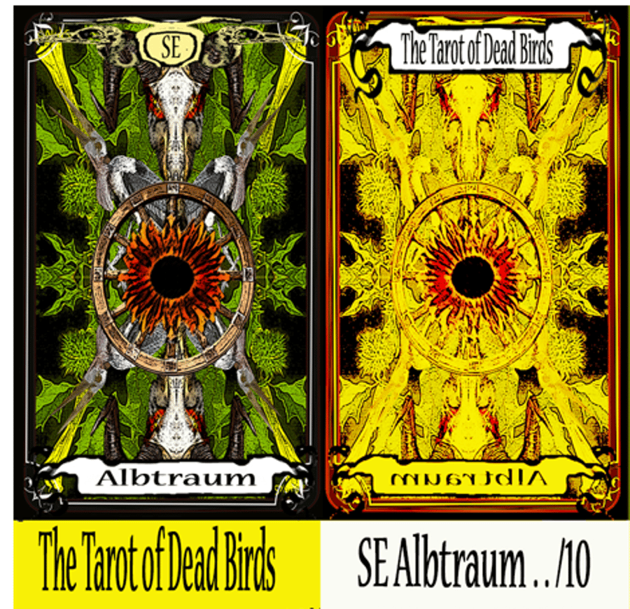 The Tarot of Dead Birds (Second Edition of 10)