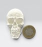 Tiny Stonecast White Skull - Macabre Halloween Decoration Suitable for Painting - Image 3
