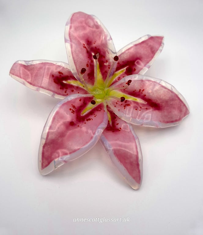 Handmade Fused Glass Pink Opaline Stargazer Lily 3 of 3 with Wall-mount