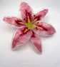 Handmade Fused Glass Pink Opaline Stargazer Lily 3 of 3 with Wall-mount