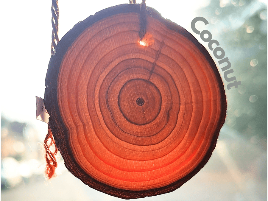 Coconut Car Air Freshener. Wooden slice with long-lasting fragrance. Handmade.