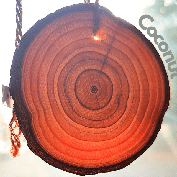 Coconut Car Air Freshener. Wooden slice with long-lasting fragrance. Handmade.